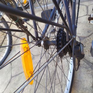 Bicicleta paseo