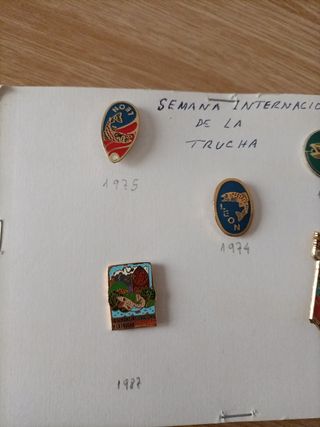 Insignias semana internacional Trucha