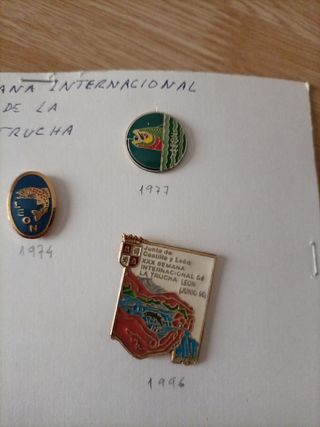 Insignias semana internacional Trucha