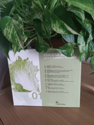 IBERDROLA "Cocina Sana"