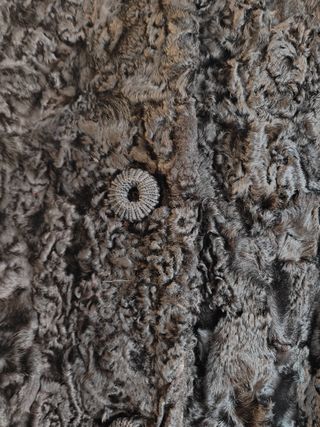 Chaqueton de Astracán Tres Cuartos