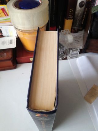 El hombre de la reina - novela histórica