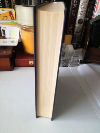 El hombre de la reina - novela histórica