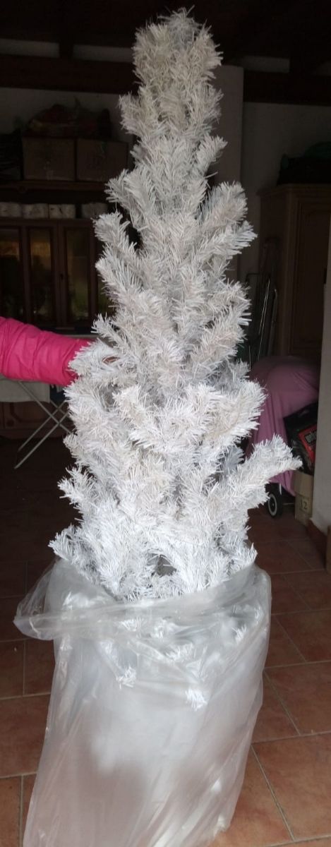 Albero di natale e decorazioni