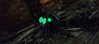 Servicio de impresión 3D