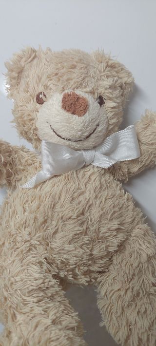 Urso de peluche castanho