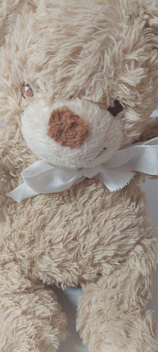 Urso de peluche castanho