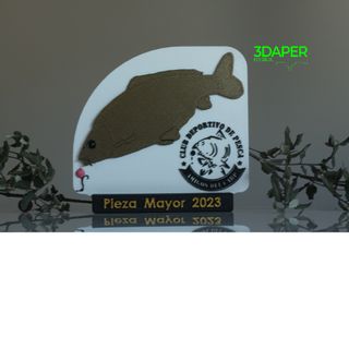 Trofeos personalizados carpfising