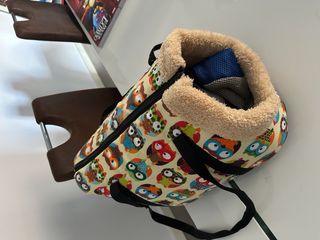 mochila perro pequeño