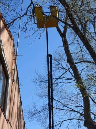 JARDINERO PARTICULAR