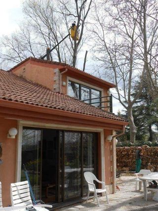 JARDINERO PARTICULAR