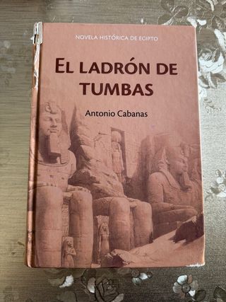 El ladron de tumbas