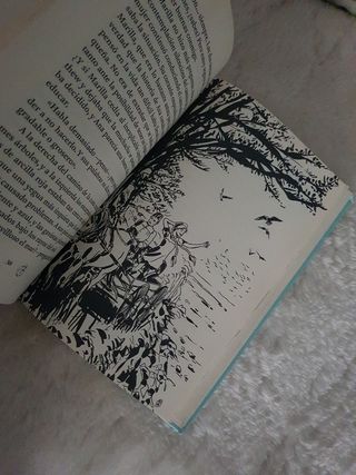 Ana de la tejas verdes