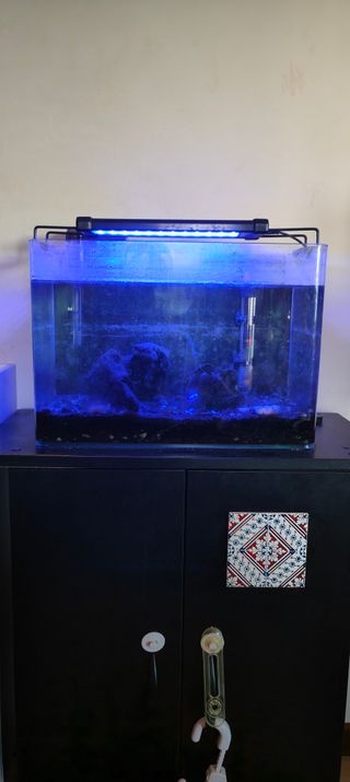 Acuario/pecera 27 litros + Armario