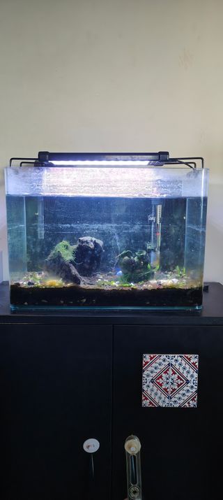 Acuario/pecera 27 litros + Armario