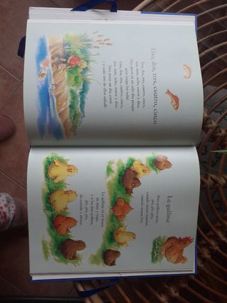 Libro Un Tesoro para los Tres Años