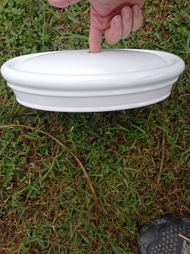 Taza de WC Viceroy & Boch modelos Amadea