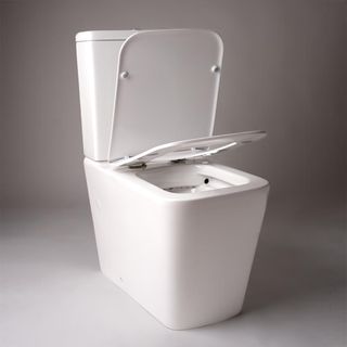 inodoro compacto dual