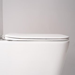 inodoro compacto dual