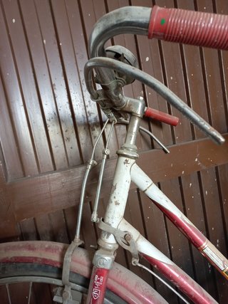 Bici clásica bh