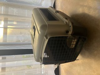 AniOne transportín para viajes aéreos