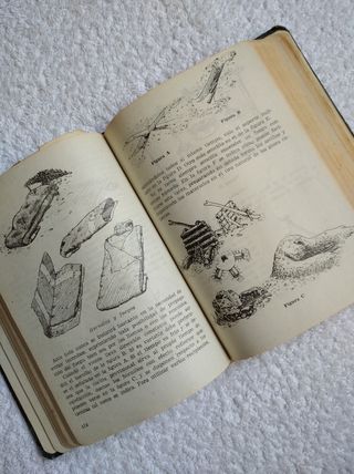 ANTIGUO MANUAL CAMPAMENTOS FRENTE JUVENTUDES 1948