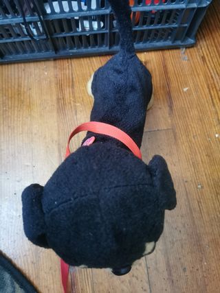 Juguete perro