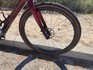 Specialized Diverge pro Campagnolo LTD 56