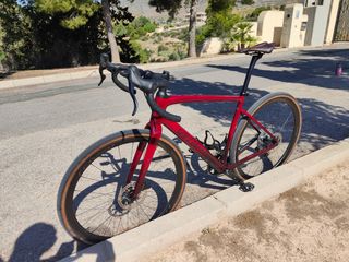 Specialized Diverge pro Campagnolo LTD 56