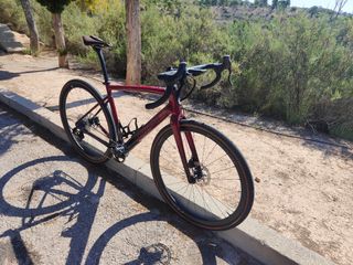 Specialized Diverge pro Campagnolo LTD 56