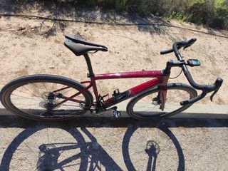 Specialized Diverge pro Campagnolo LTD 56