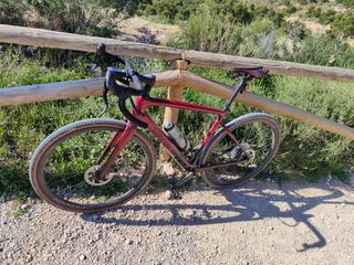 Specialized Diverge pro Campagnolo LTD 56