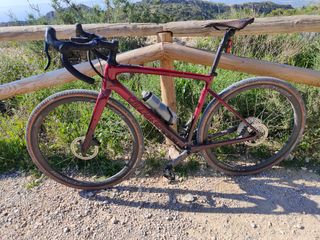 Specialized Diverge pro Campagnolo LTD 56