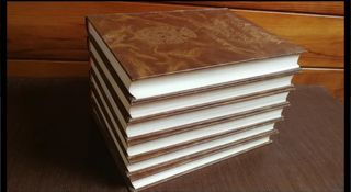 Diccionario Real Academia Española. ESPASA CALPE.