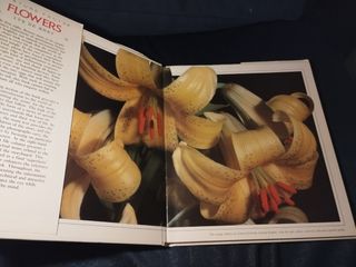 Flores, naturalmente.