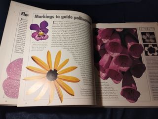 Flores, naturalmente.