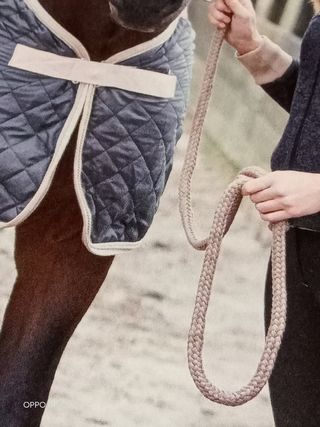 Harry's Horse Cabeção+Guia