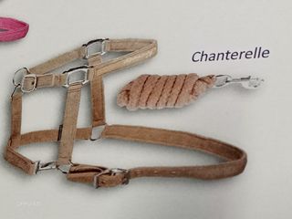 Harry's Horse Cabeção+Guia