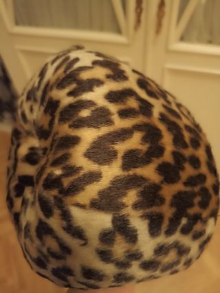 Bonete de leopardo