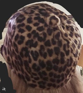 Bonete de leopardo