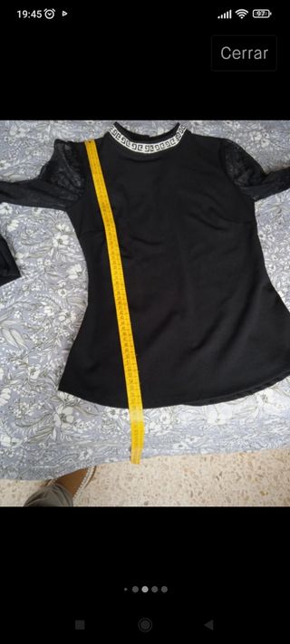 Blusa plumeti