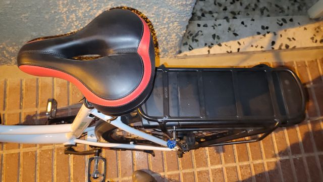 Bici eléctrica de Paseo