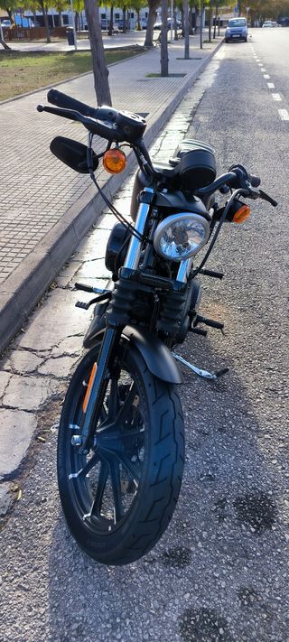 Harley Davidson Sportster 883 Iron