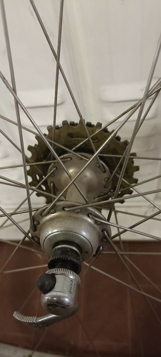 ruote campagnolo per tubolari