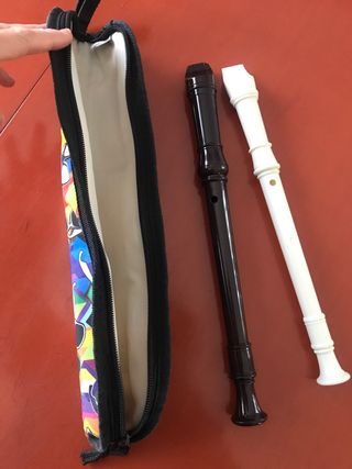 Flauta y funda