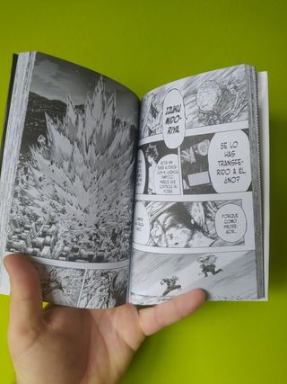 My Hero Academia (Boku No Hero)