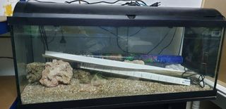 Acuario de 100l con mueble (tal cual está)