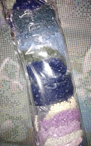 Sea shell in the moolight DP