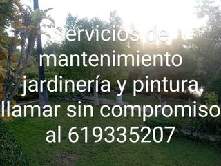 Servicios de mantenimiento