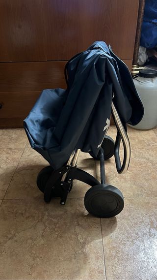 Carrito de la compra con bolsa termo